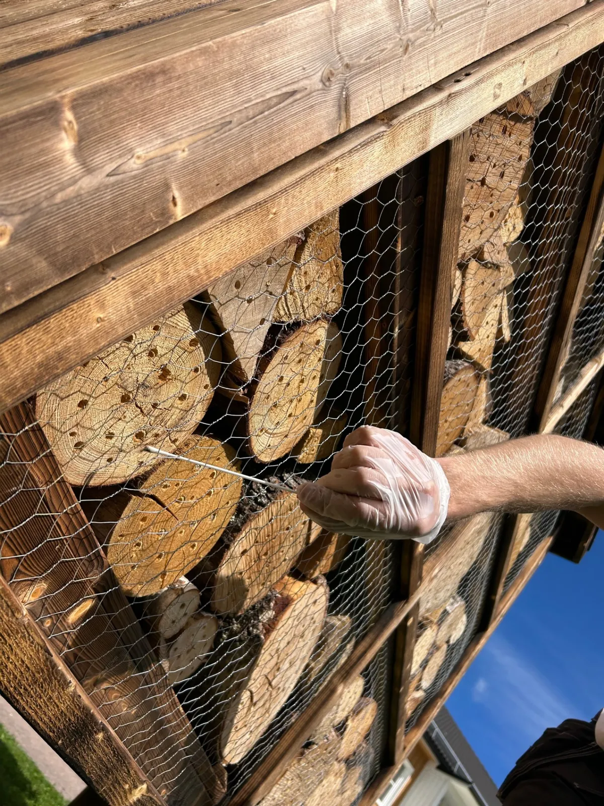 Uppföljning av fågelholk